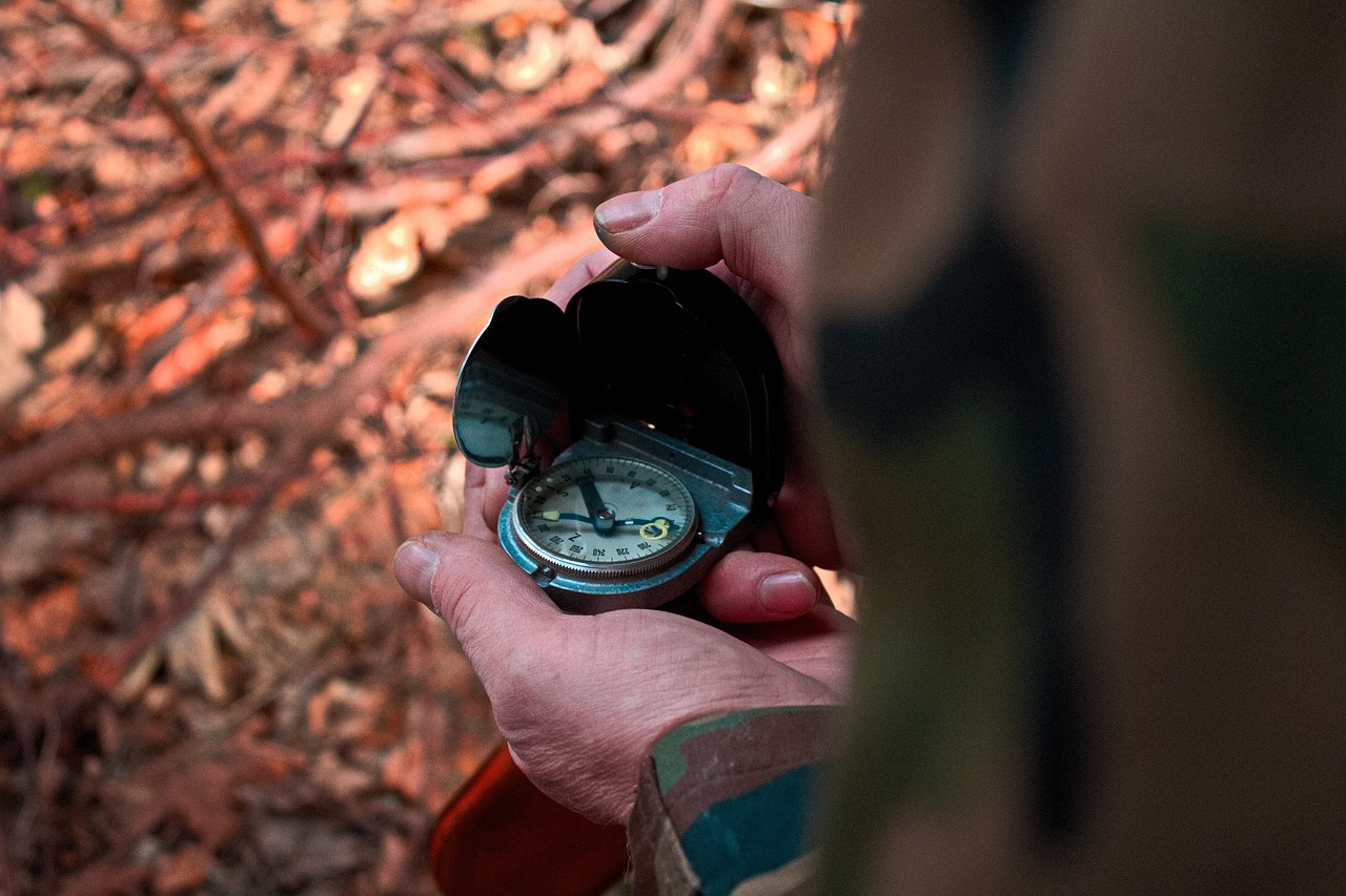Person holding a compass with dried leaves on the ground