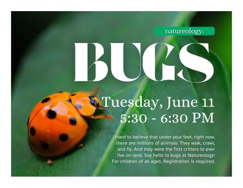 Ladybug on a green leaf with text saying program name and description