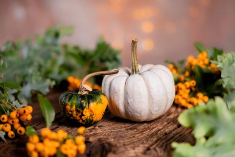 Pumpkins on a table with greenery around them