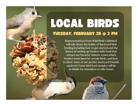 Two birds pecking at a pinecone with bird seed on it and one bird at the bottom of the poster with a green background and text with description of program