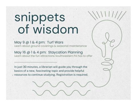 Grey colored background with an outline of a lightbulb in the right side and text describing the program on the left