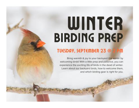 Bird sitting on a tree limb with snow behind it