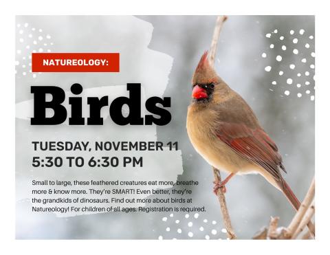 Winter background with a bird