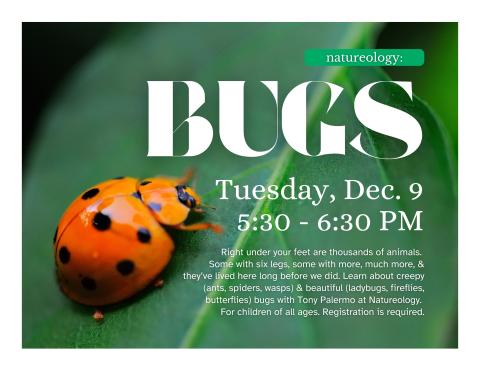 Green leaf with a ladybug on it