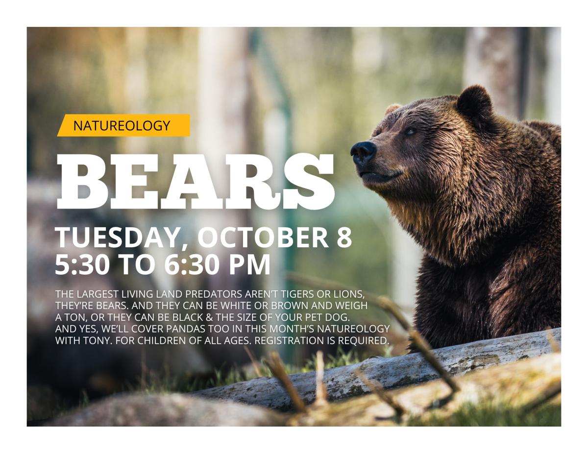 Brown bear in nature with text saying the program details