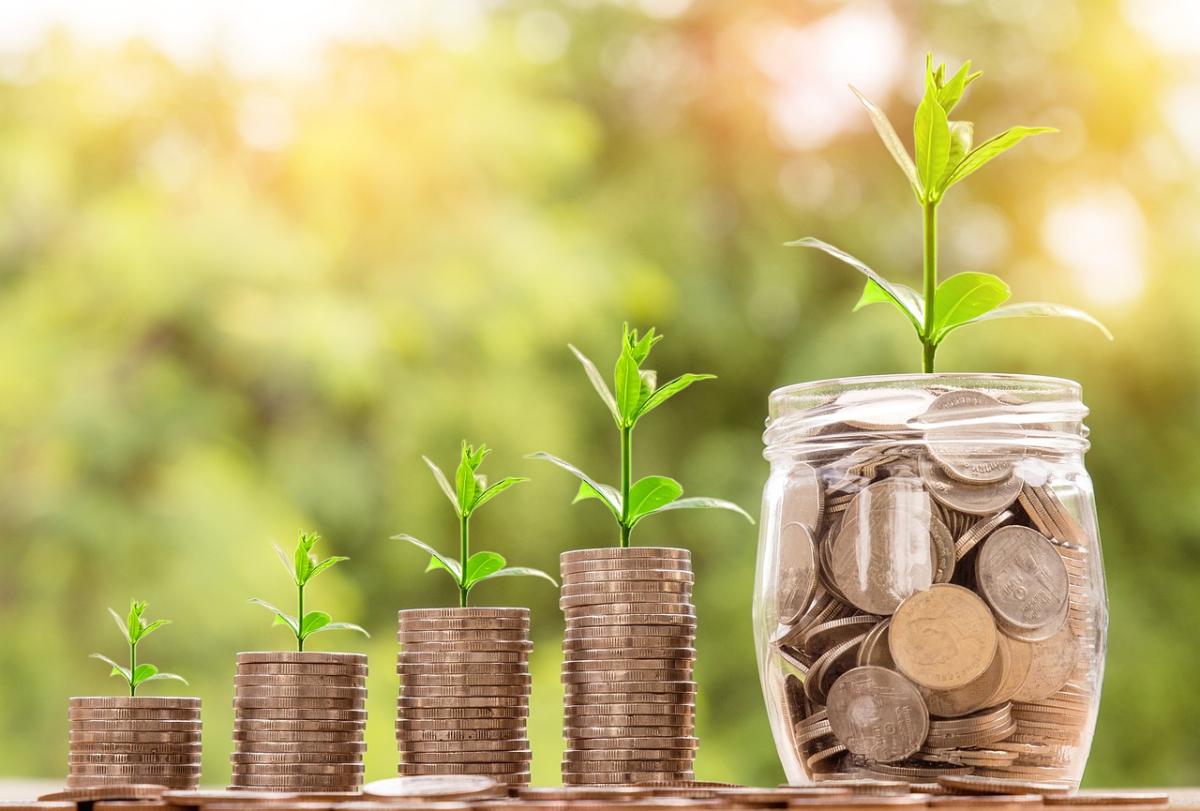 Coins in five stacks with a plant growing out of them getting bigger from the left to right with green nature in the background