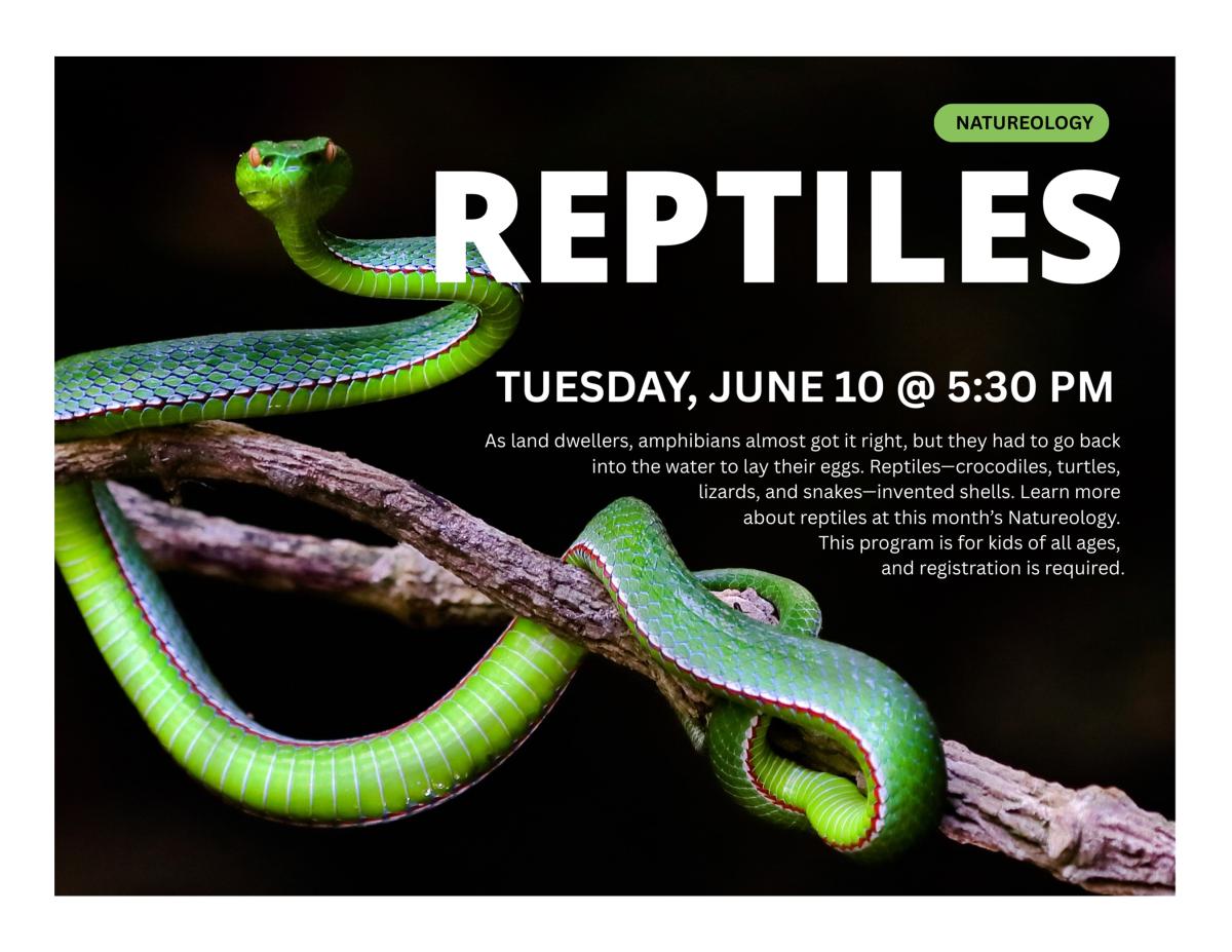 Snake on a tree limb with a black background and white font for the title & description