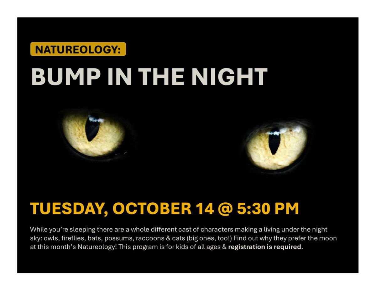 Black background with glowing cat's eyes in the center